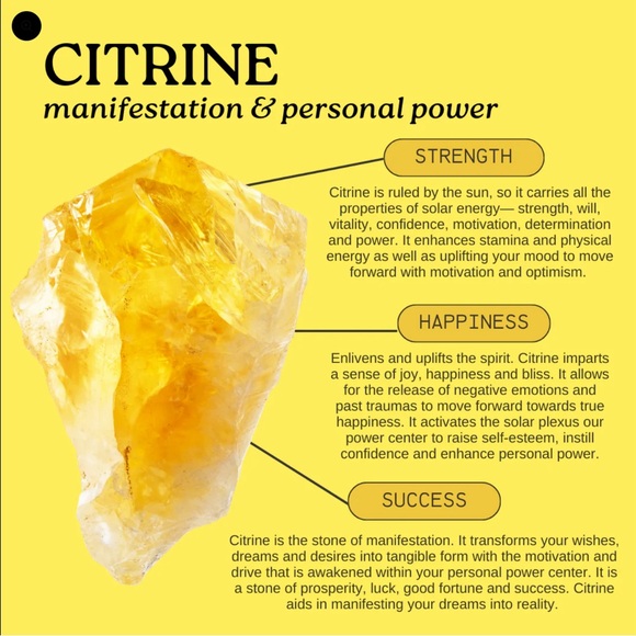 Designer Sterling Silver Citrine Necklace from Peter Thomas Roth - Picture 15 of 15